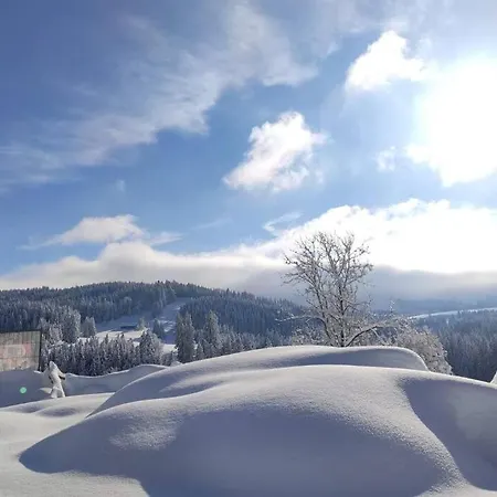 Allgaeu Rose Im Og Apartmán Grunenbach