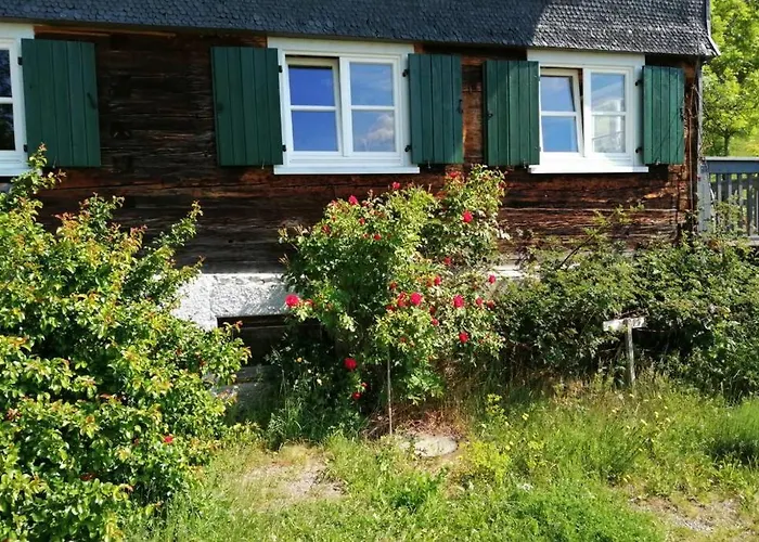 Allgaeu Rose Im Og
