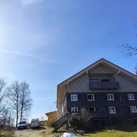 Allgaeu Rose Im Og Daire